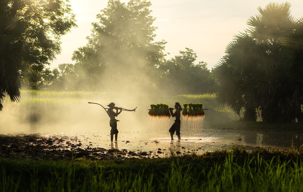 agricultura sostenible