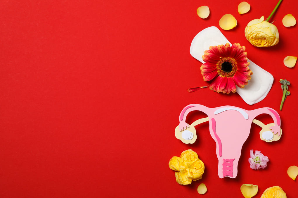 productos de salud menstrual