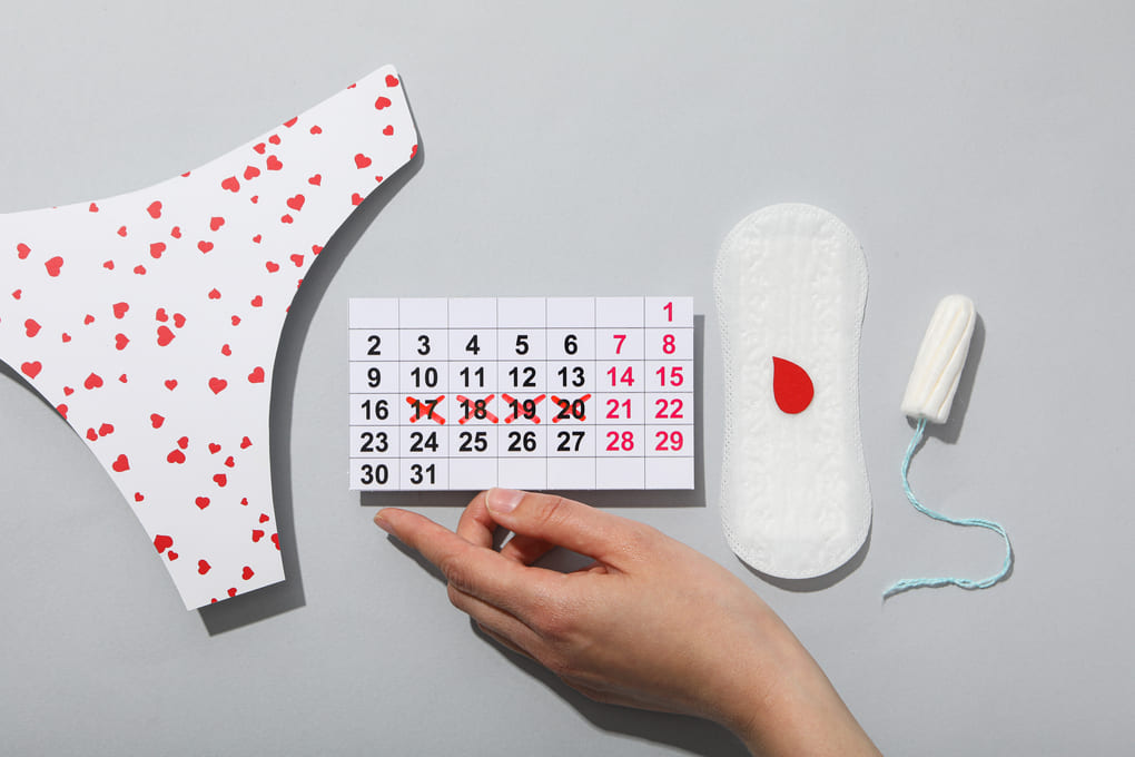 productos de salud menstrual