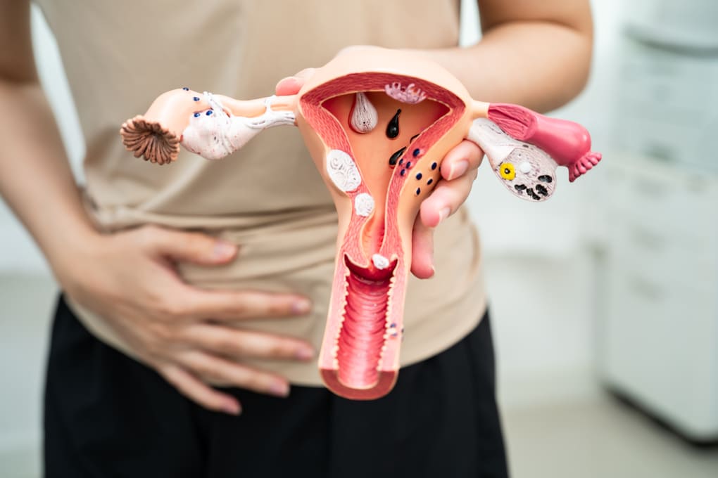 productos de salud menstrual