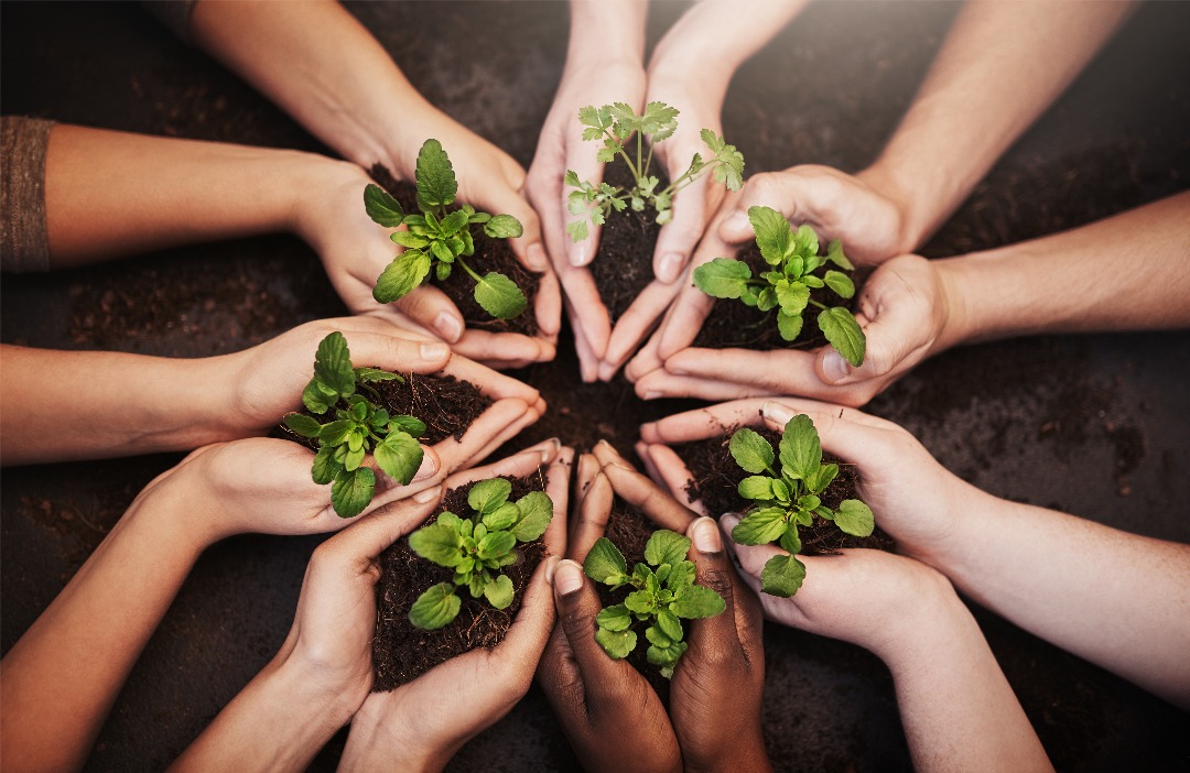 G&T Continental: compromiso ambiental y social