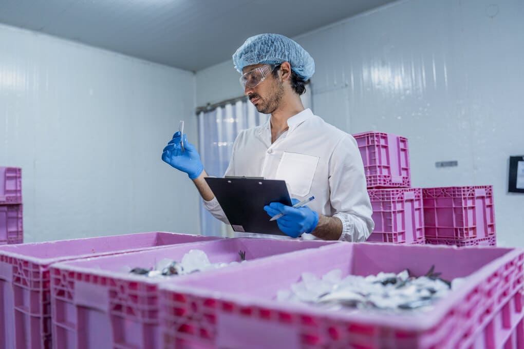 logística en la cadena de frío