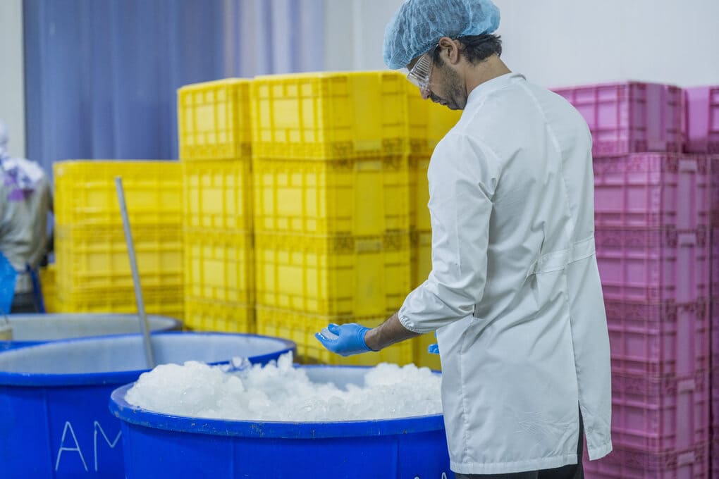 logística en la cadena de frío