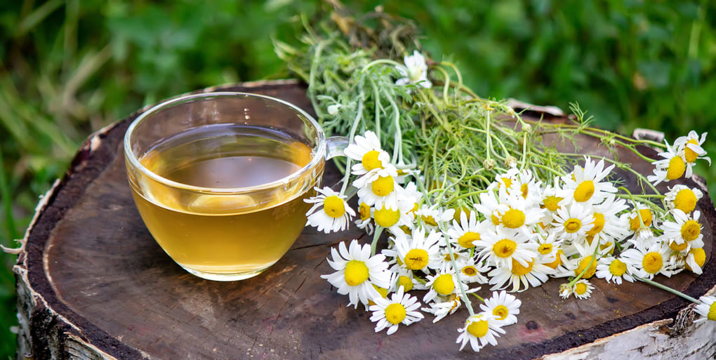 Alimentos recomendados para aliviar los cólicos menstruales