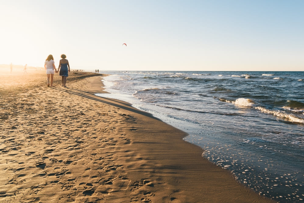 Armonía Cinta Costera Armonía Cinta Costera