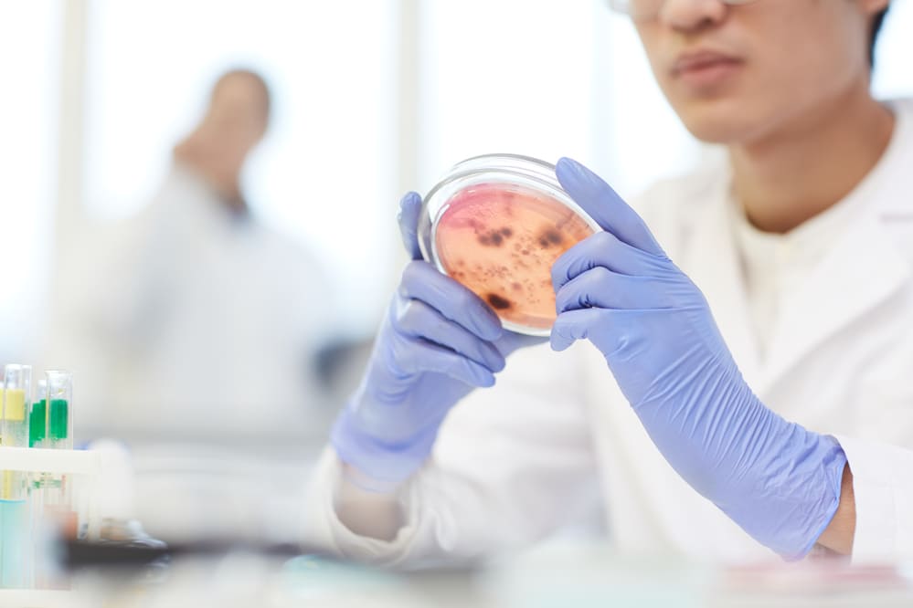 Cómo tratar infecciones vaginales