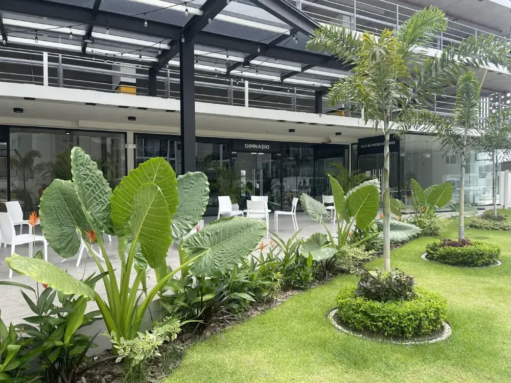 Apartamentos modernos