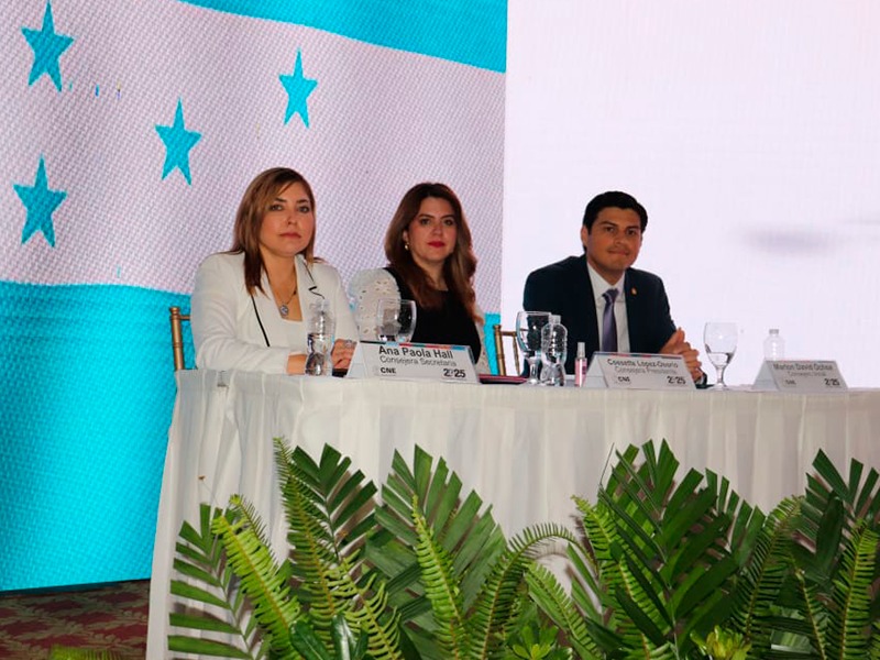 Requerimientos fiscales contra el CNE