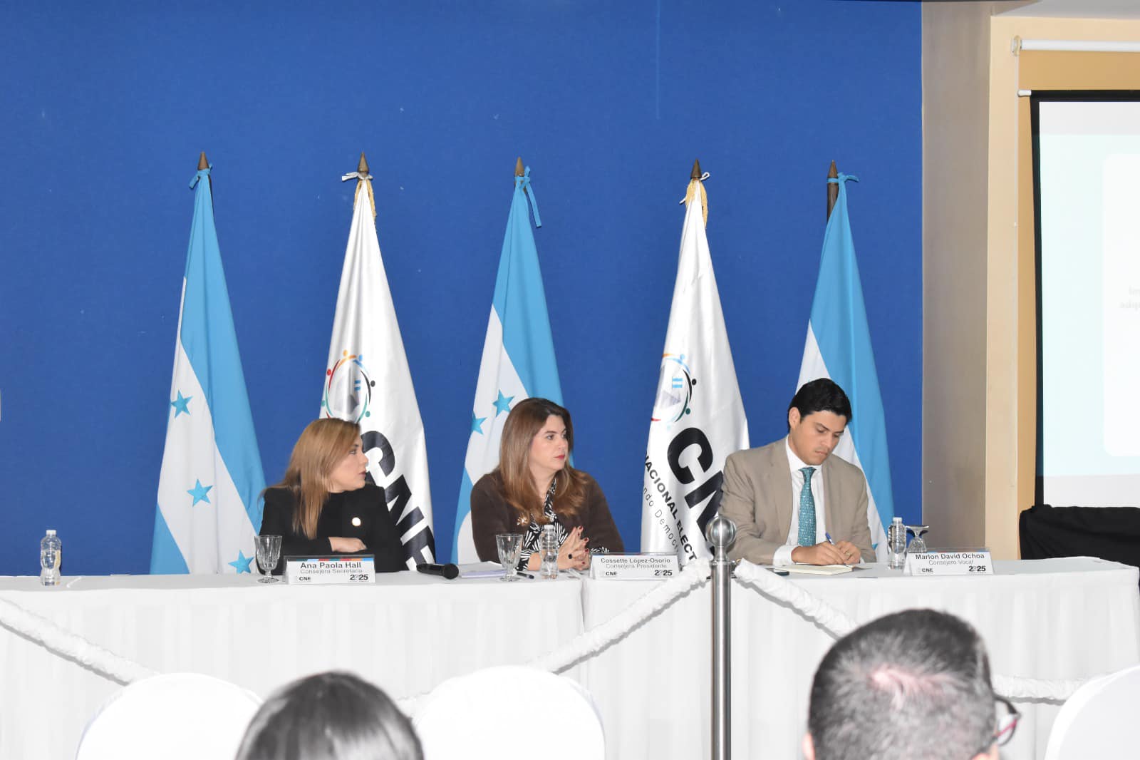 Requerimientos fiscales contra el CNE