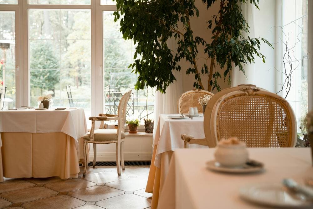 muebles plásticos ratán