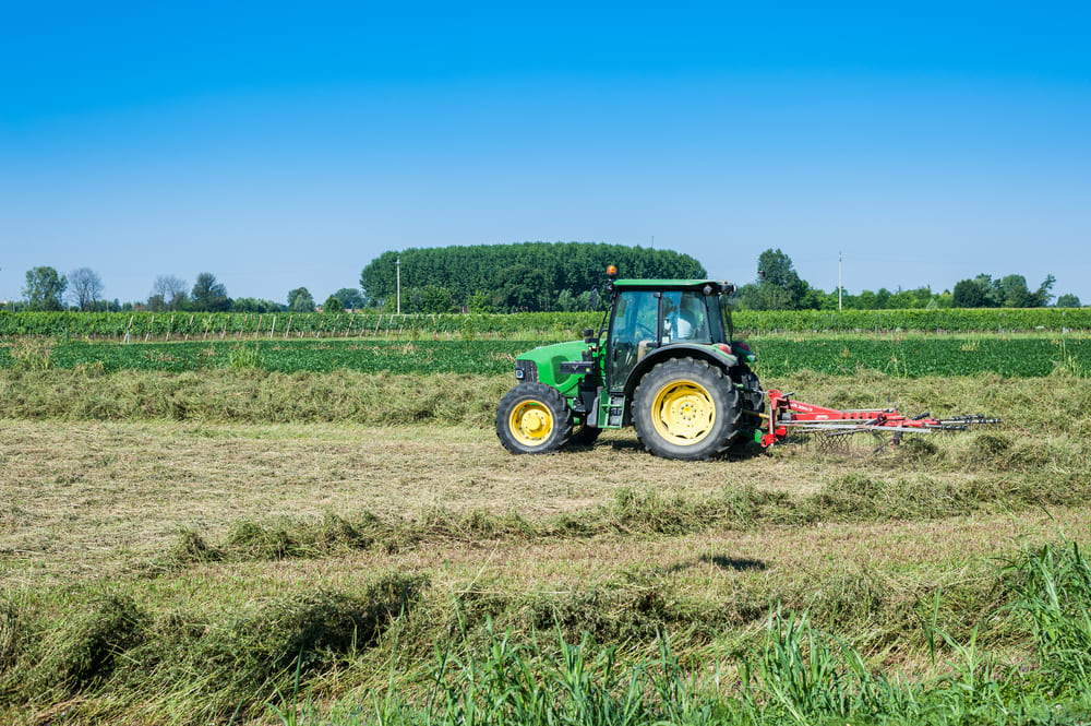 Juan José Zonta y Chispita Agrícola