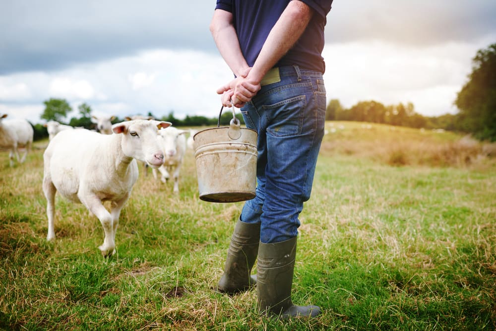 Juan José Zonta y la ganadería ecológica