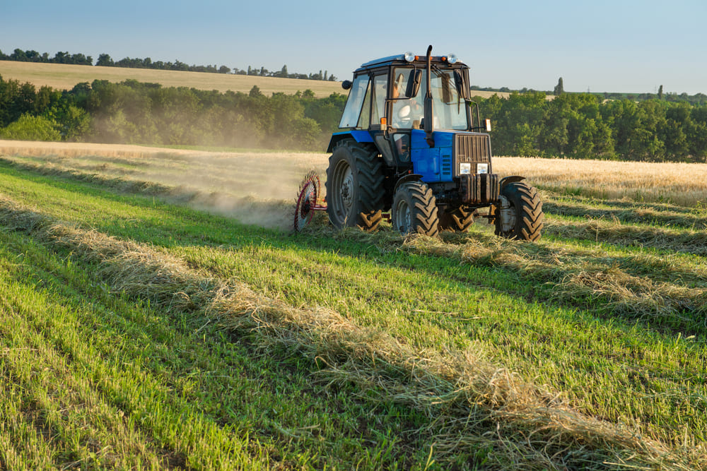 Juan José Zonta impulsa la producción agrícola y ganadera