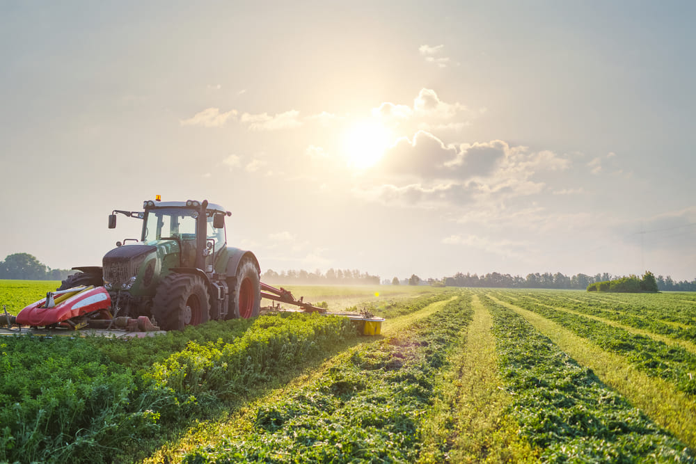 Juan José Zonta impulsa la producción agrícola y ganadera