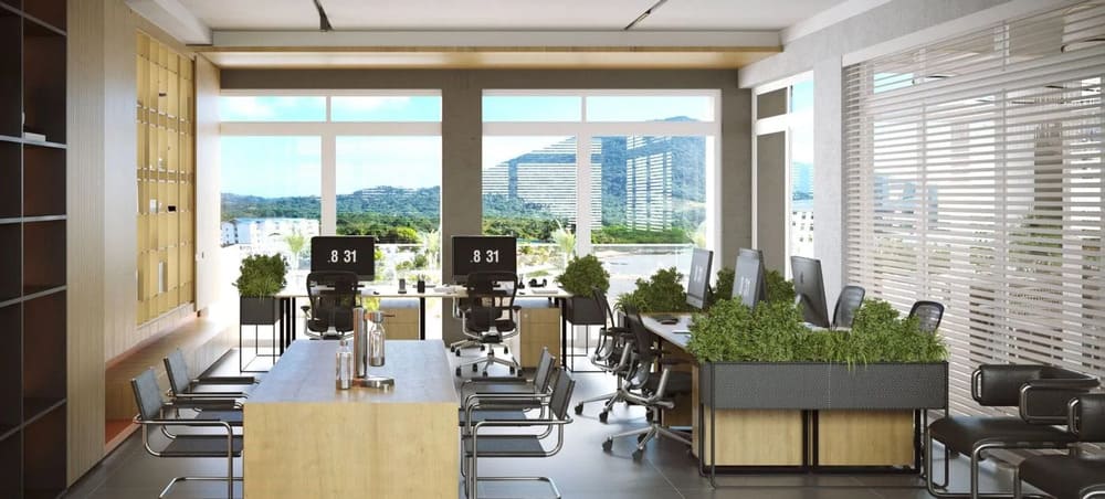 residir en ocean front