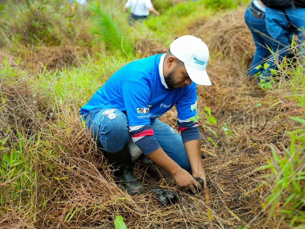 Ficohsa - compromiso ambiental