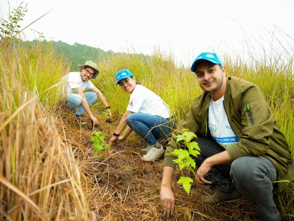 Ficohsa - compromiso ambiental