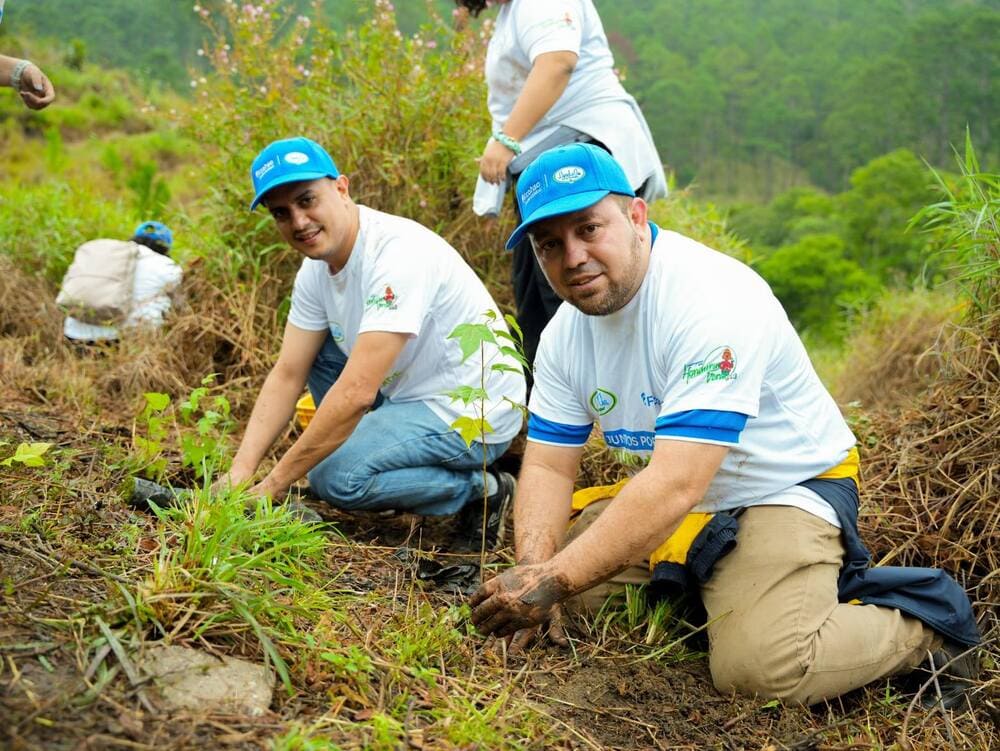 Ficohsa - compromiso ambiental