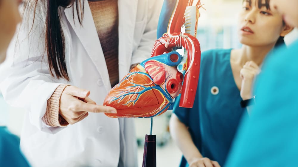 cardiología en Guatemala