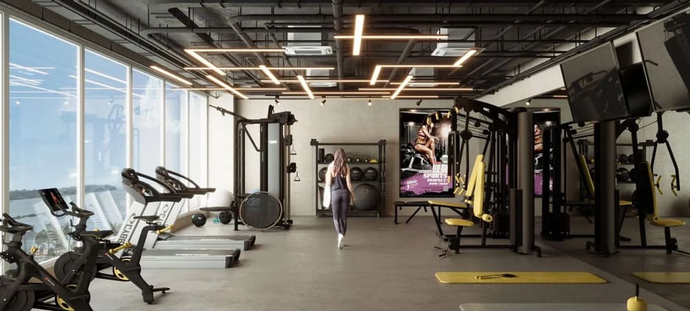 Ocean Front apartamentos de una y dos recámaras 9