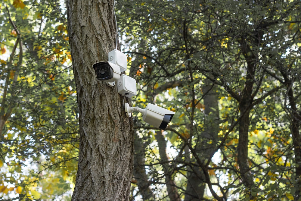 Seguridad Urracá