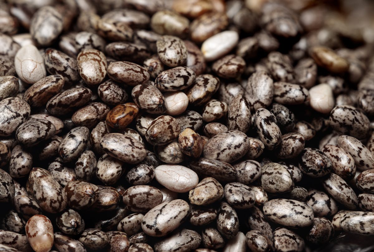 close up of healthy nutrient rich chia seeds
