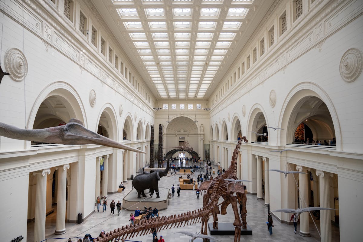 dinosaurs at the field museum in chicago