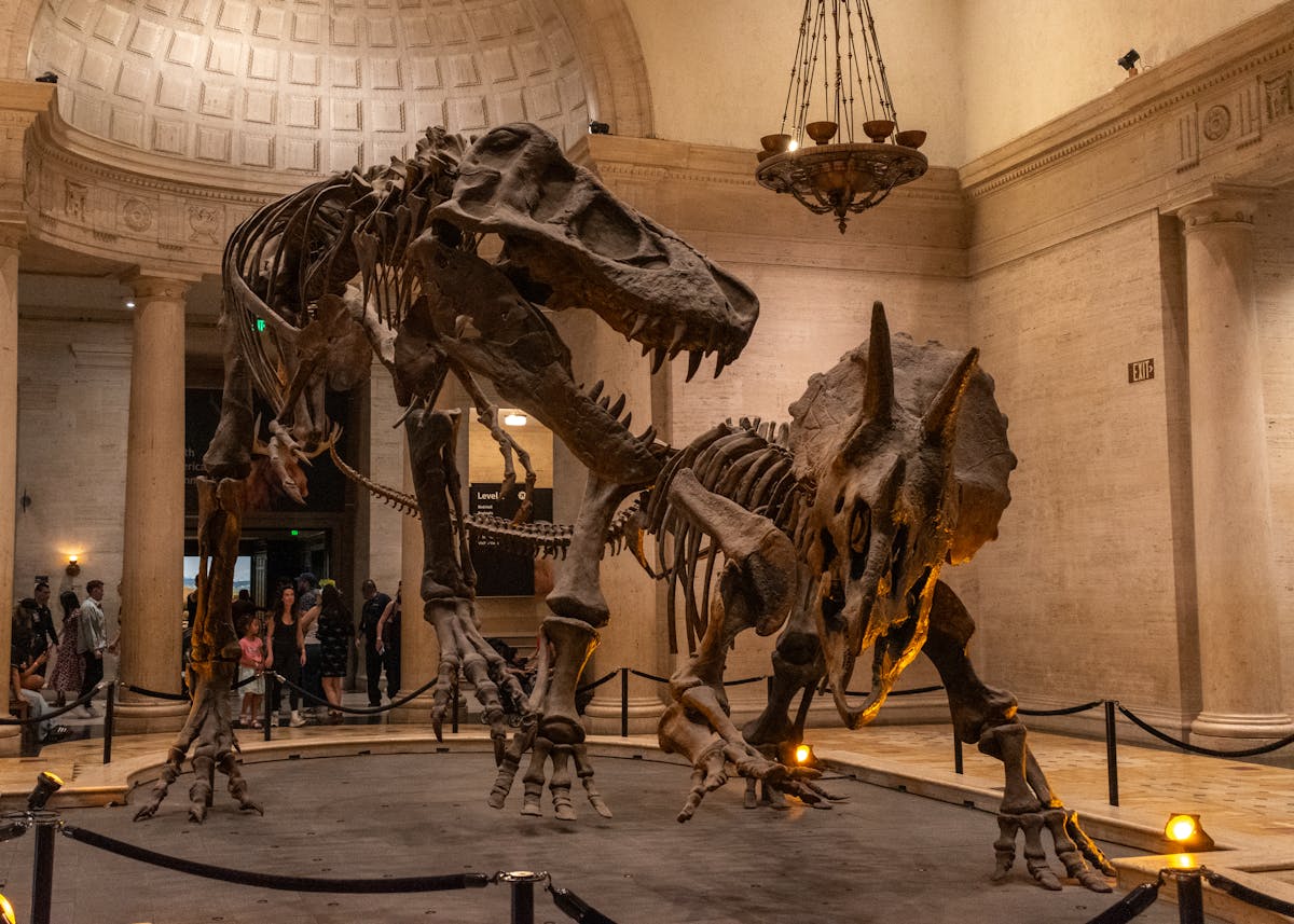 dinosaurs nhm los angeles dinosaurs nhm los angeles