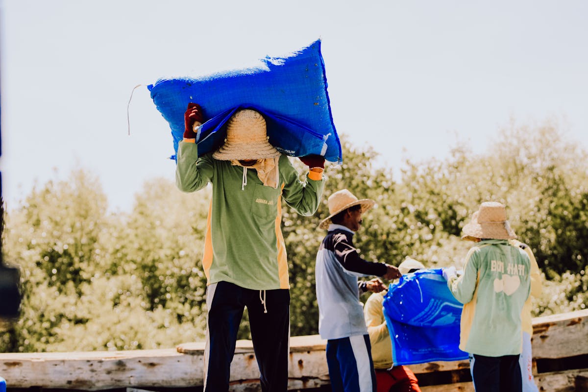 indonesian farmers working in salt fields