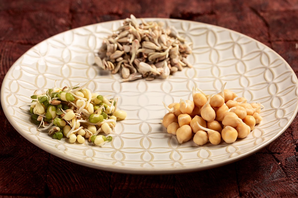plate with chickpeas sprouting seeds and pumpkin seeds