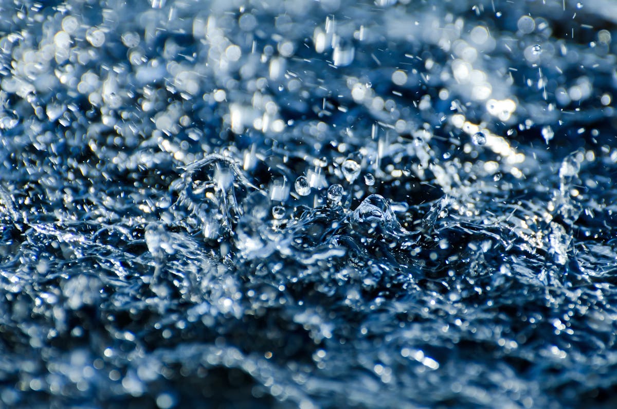 rain drops macro photography