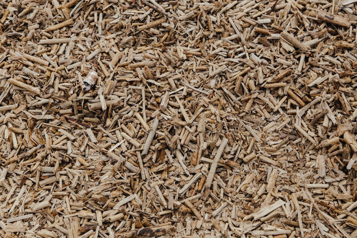 splinters of wood chips
