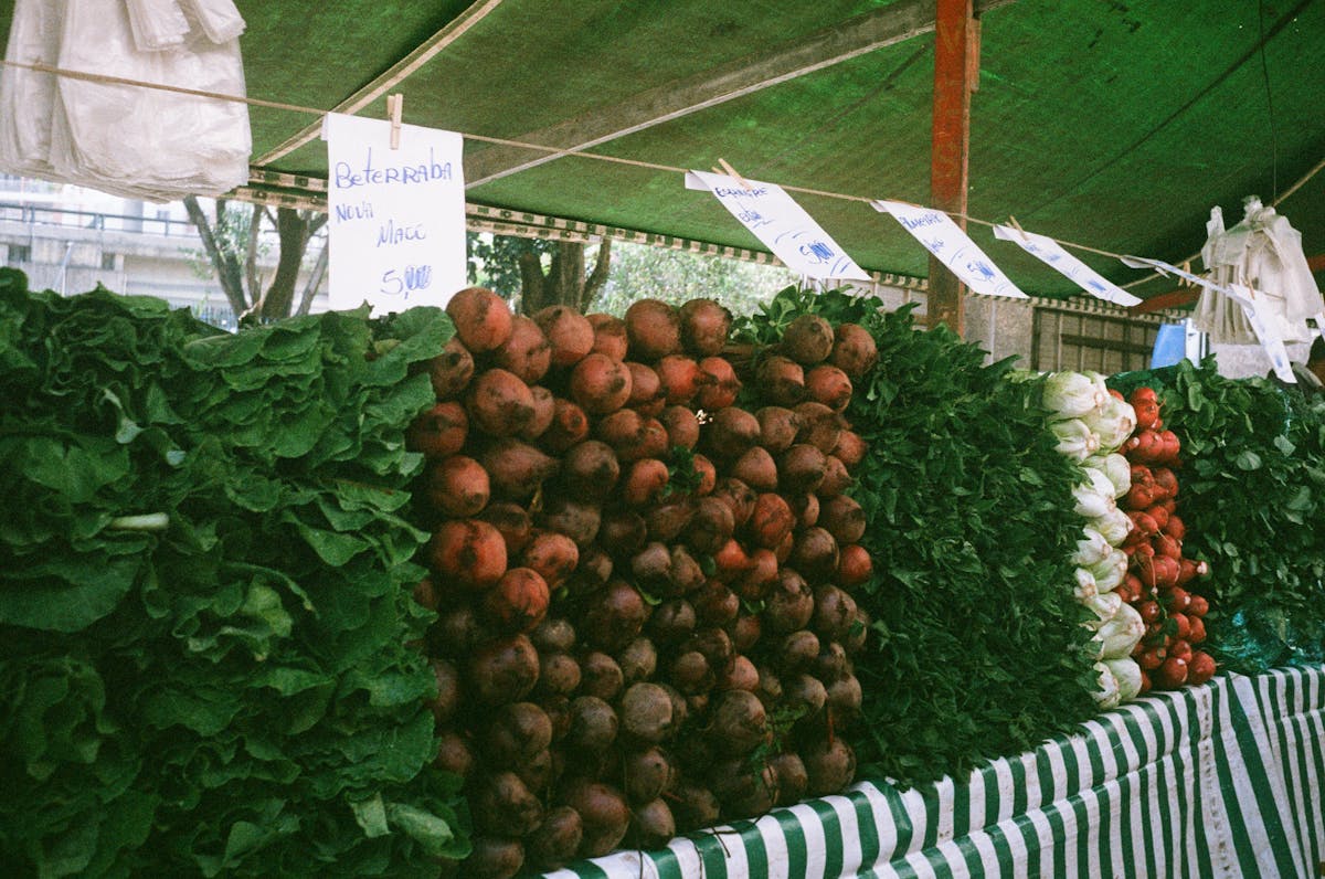vibrant vegetable stand in sao paulo market